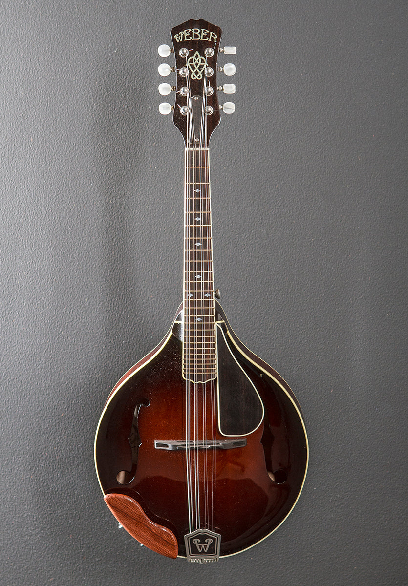 Absaroka Mandolin '98