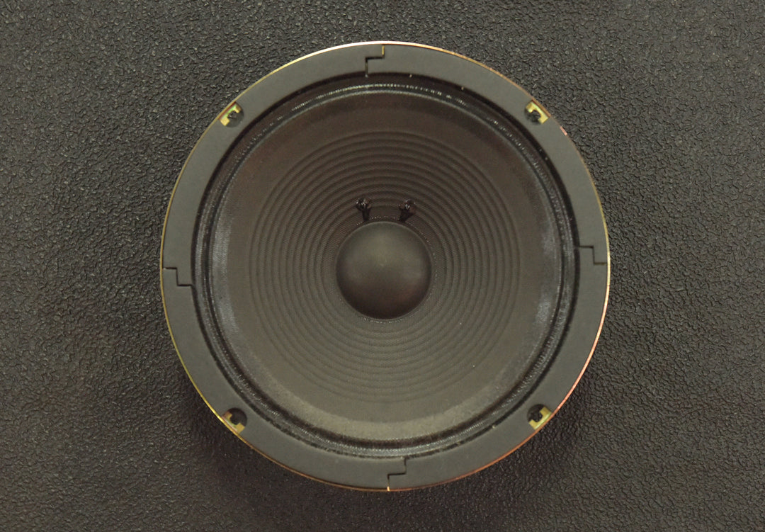 AD30 - 10" 8 OHM Speaker, Recent