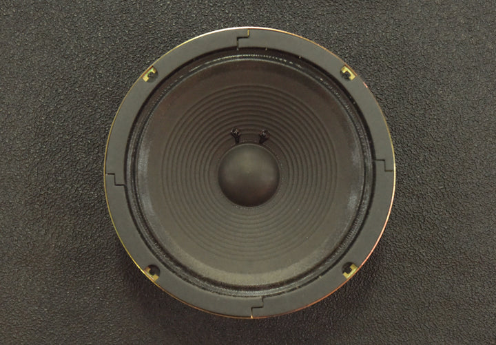 AD30 - 10" 8 OHM Speaker, Recent
