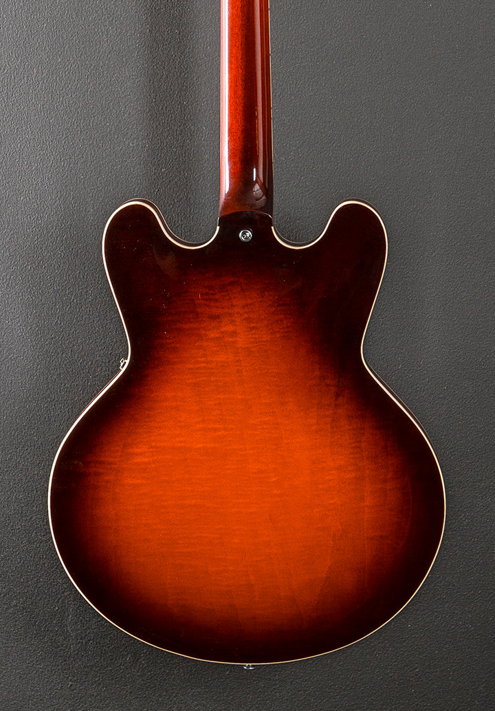 Standard Collection H-535 Semi-Hollow '20