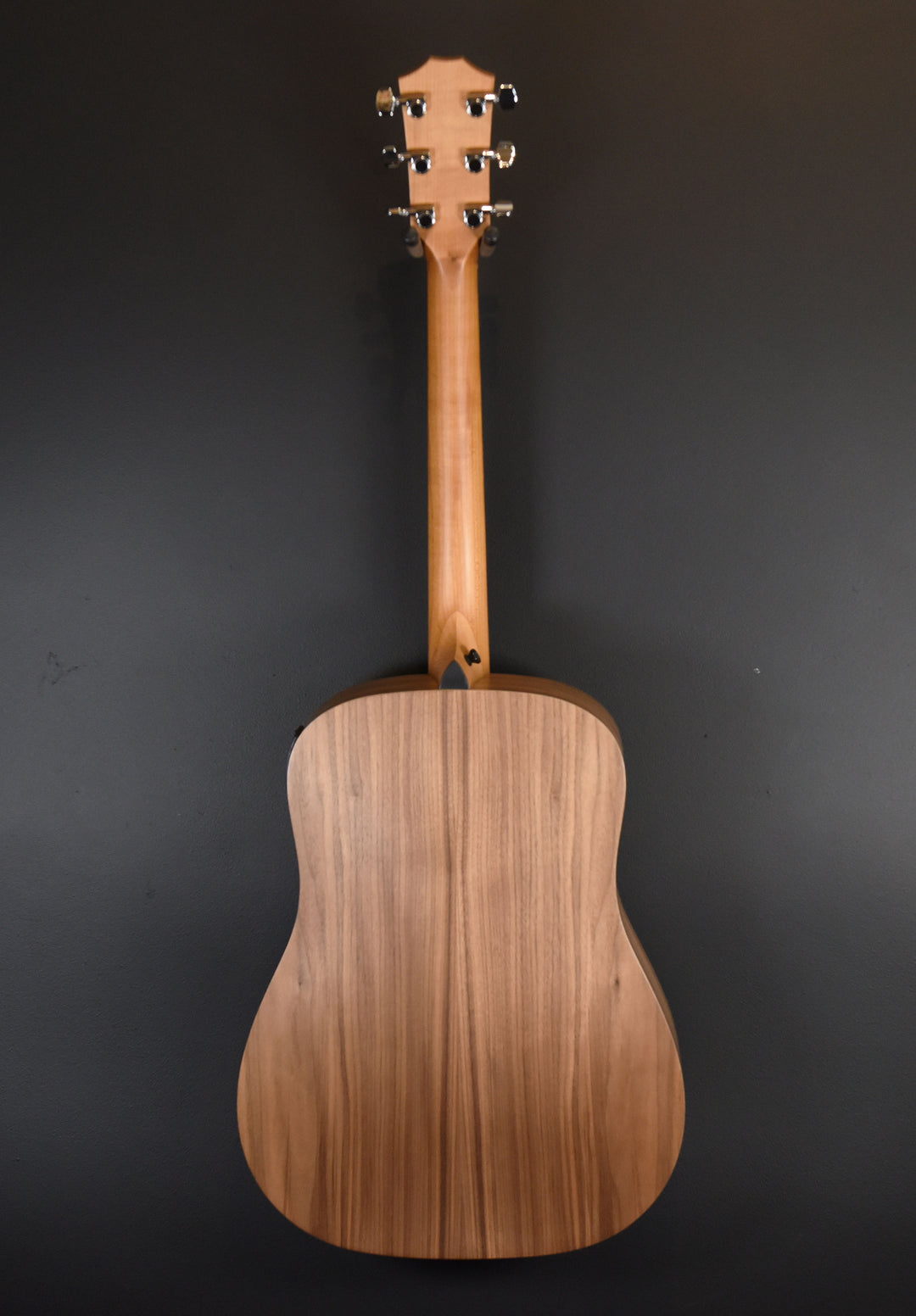 Academy 10E Left Hand Walnut '25