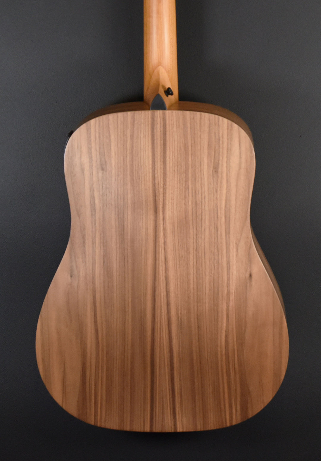 Academy 10E Left Hand Walnut '25