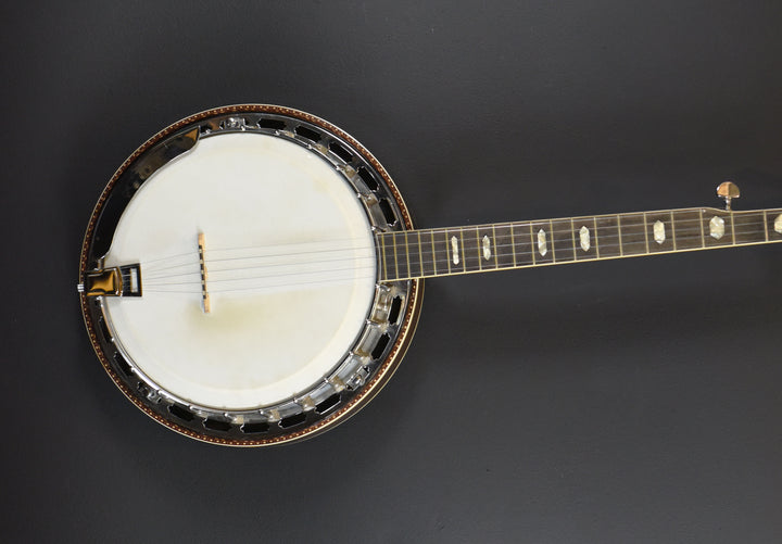 5-String Banjo, Recent