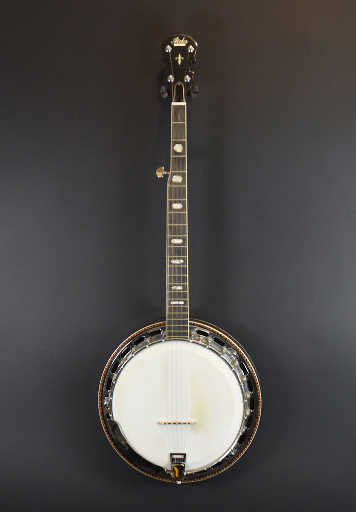 5-String Banjo, Recent