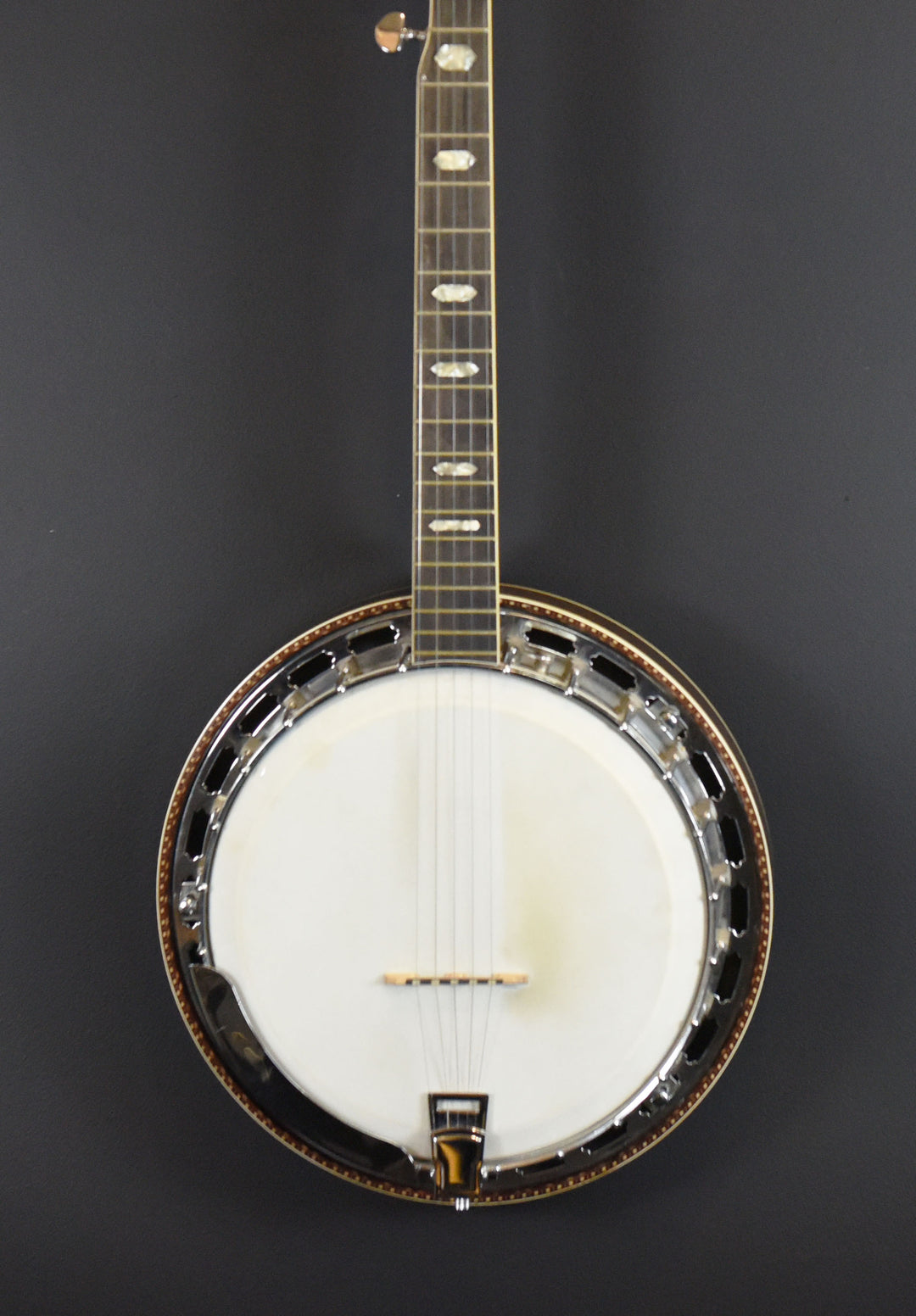 5-String Banjo, Recent