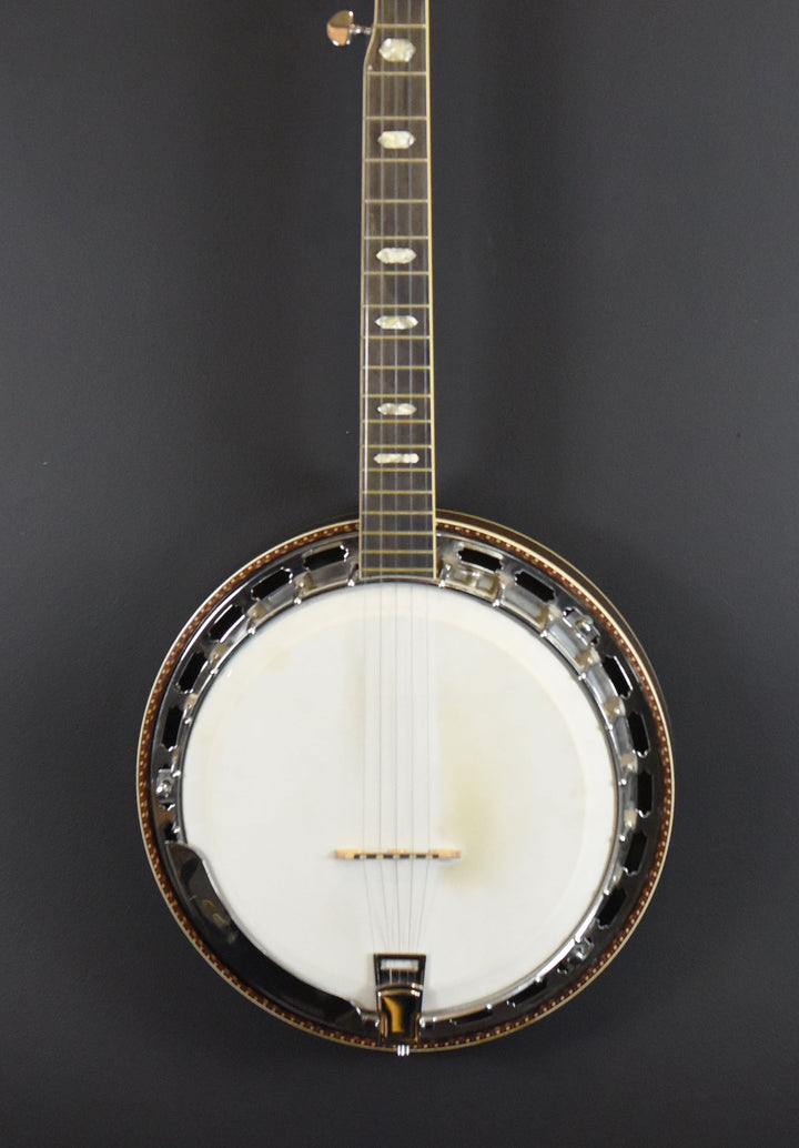 5-String Banjo, Recent