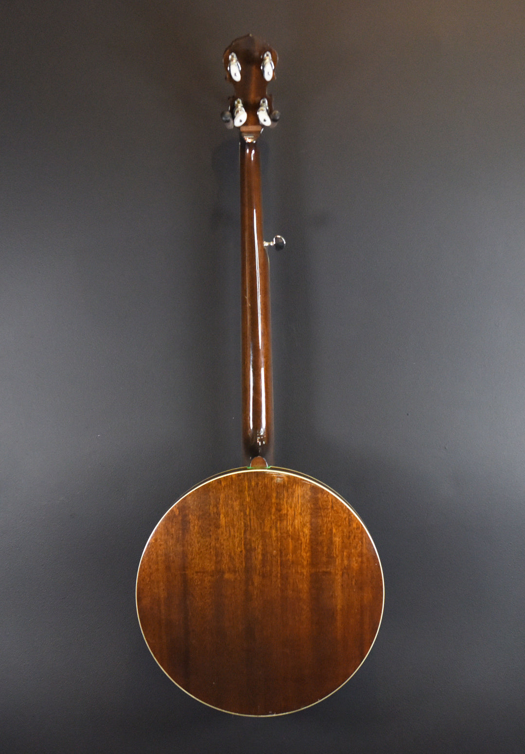 5-String Banjo, Recent