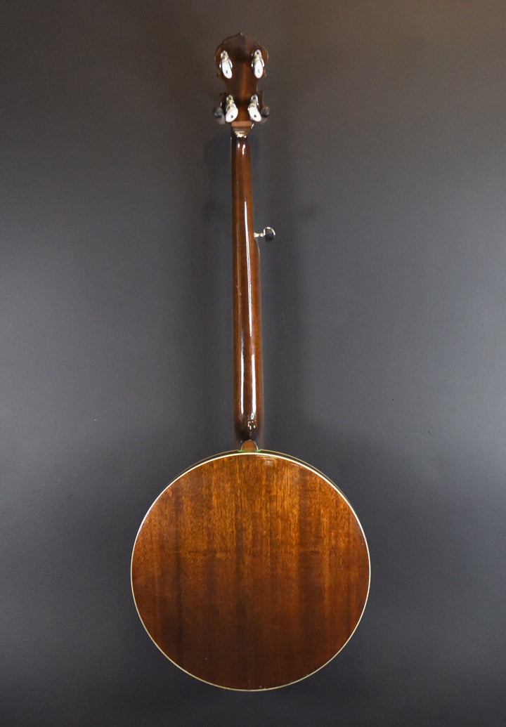 5-String Banjo, Recent