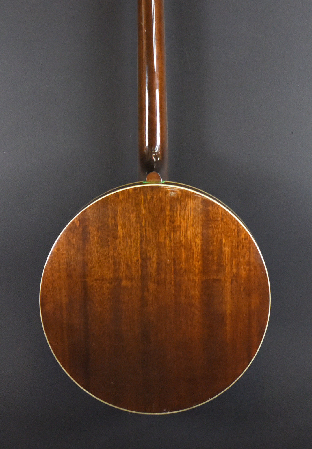 5-String Banjo, Recent
