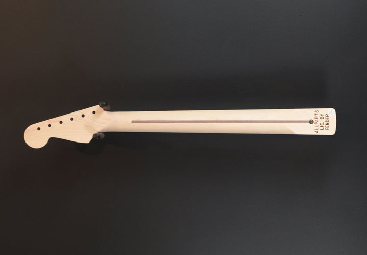 Licensed Fender Stratocaster Neck, Recent