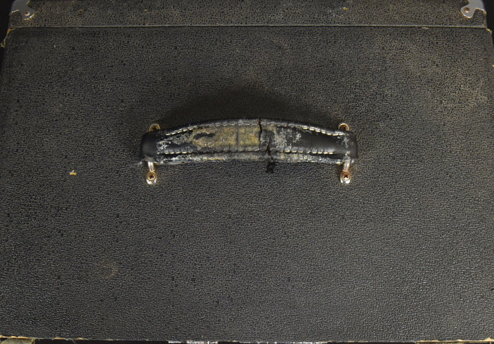 BT-15 Portaflex Fliptop Bass Combo, Late 60s