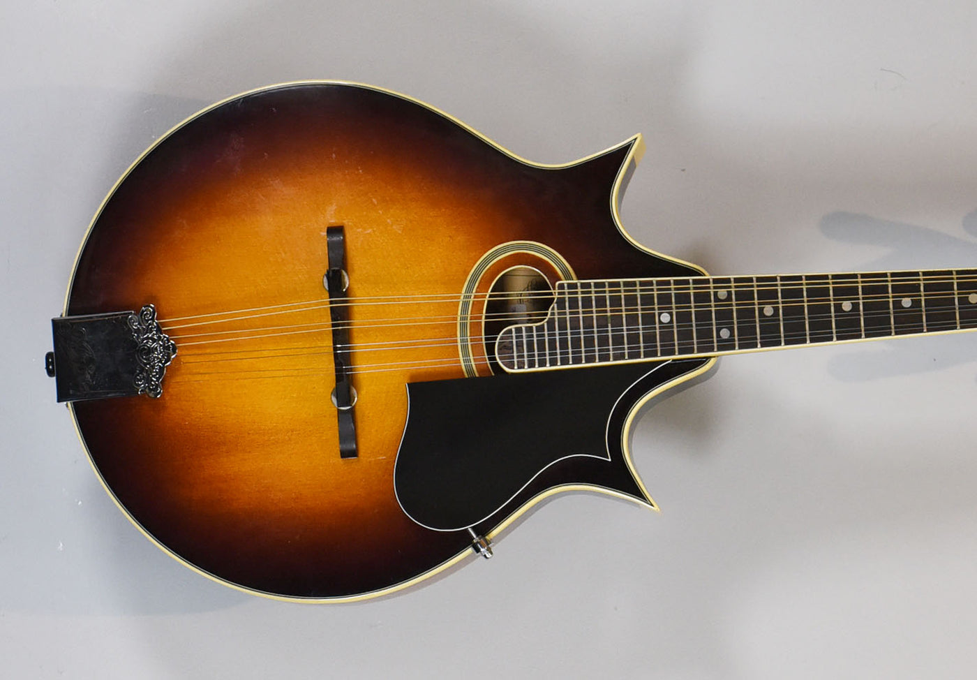 AM300BS Two-Point Mandolin, Recent