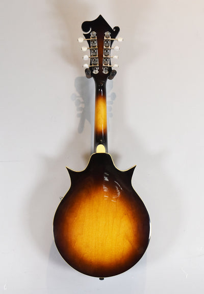 AM300BS Two-Point Mandolin, Recent