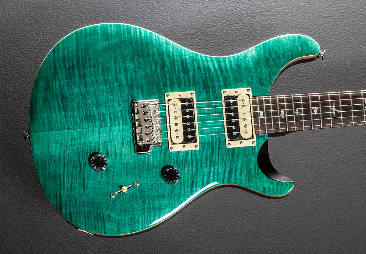 SE Custom 24 '19 – Dave's Guitar Shop