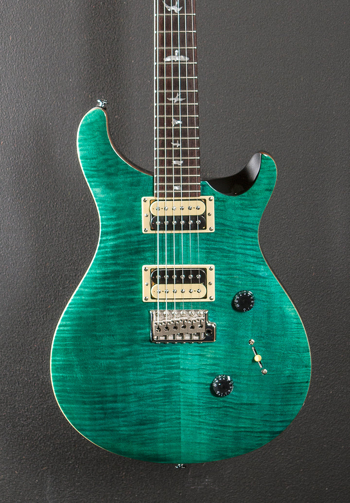 SE Custom 24 '19