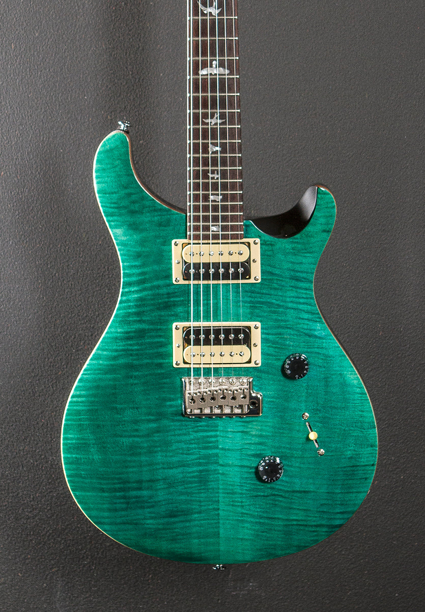 SE Custom 24 '19 – Dave's Guitar Shop