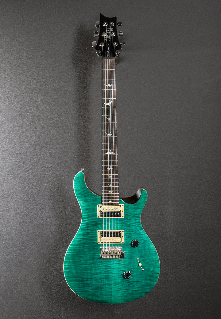 SE Custom 24 '19