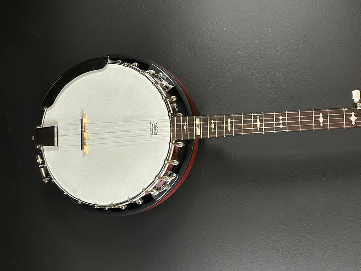 5-String Banjo, Recent