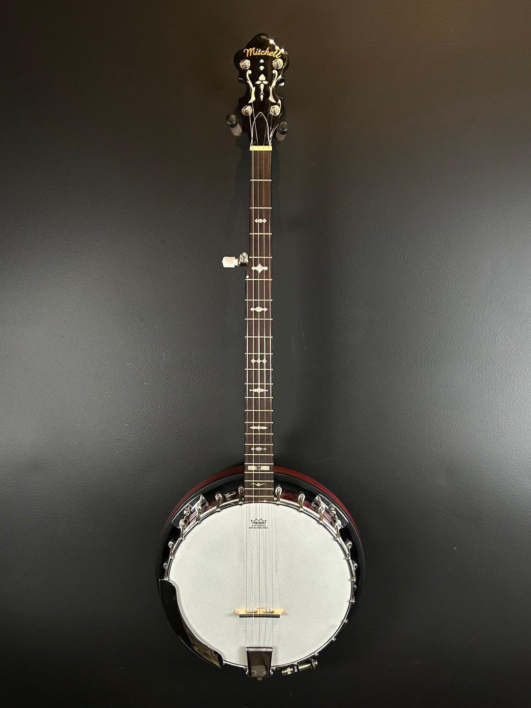 5-String Banjo, Recent