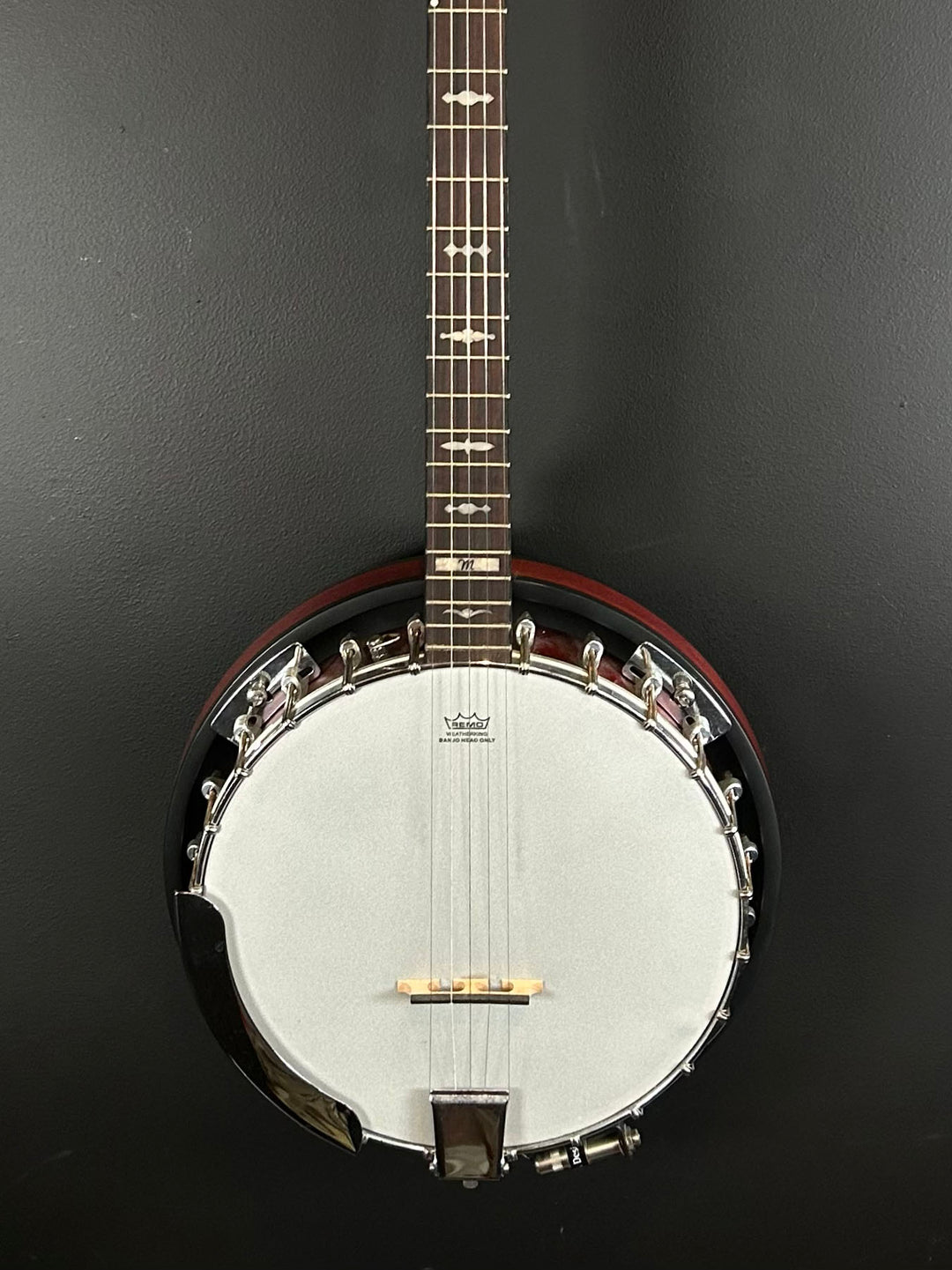 5-String Banjo, Recent