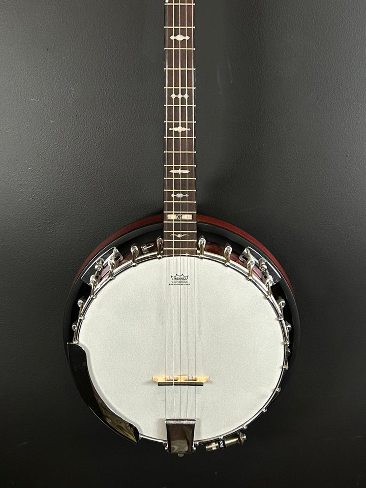 5-String Banjo, Recent