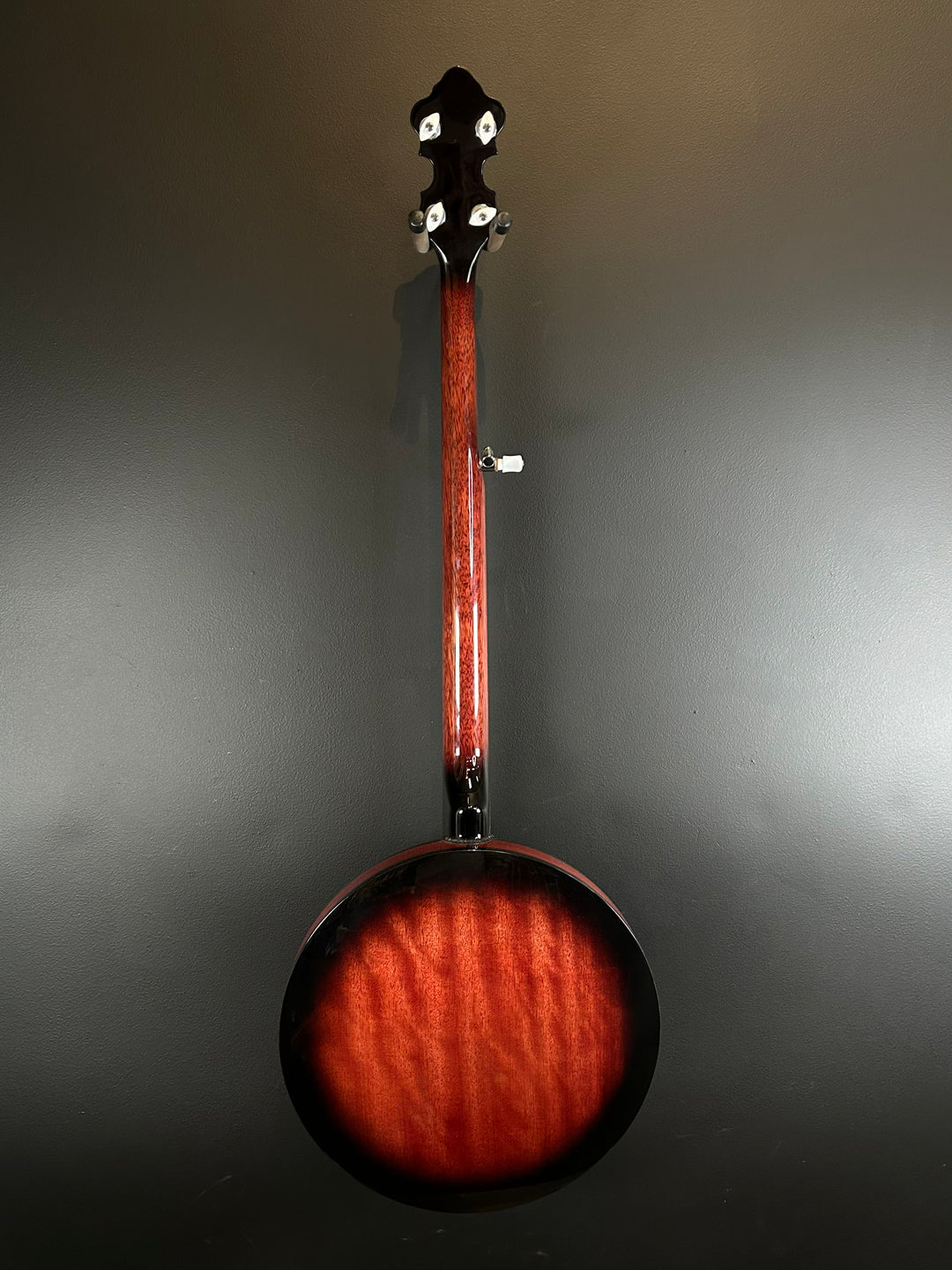5-String Banjo, Recent