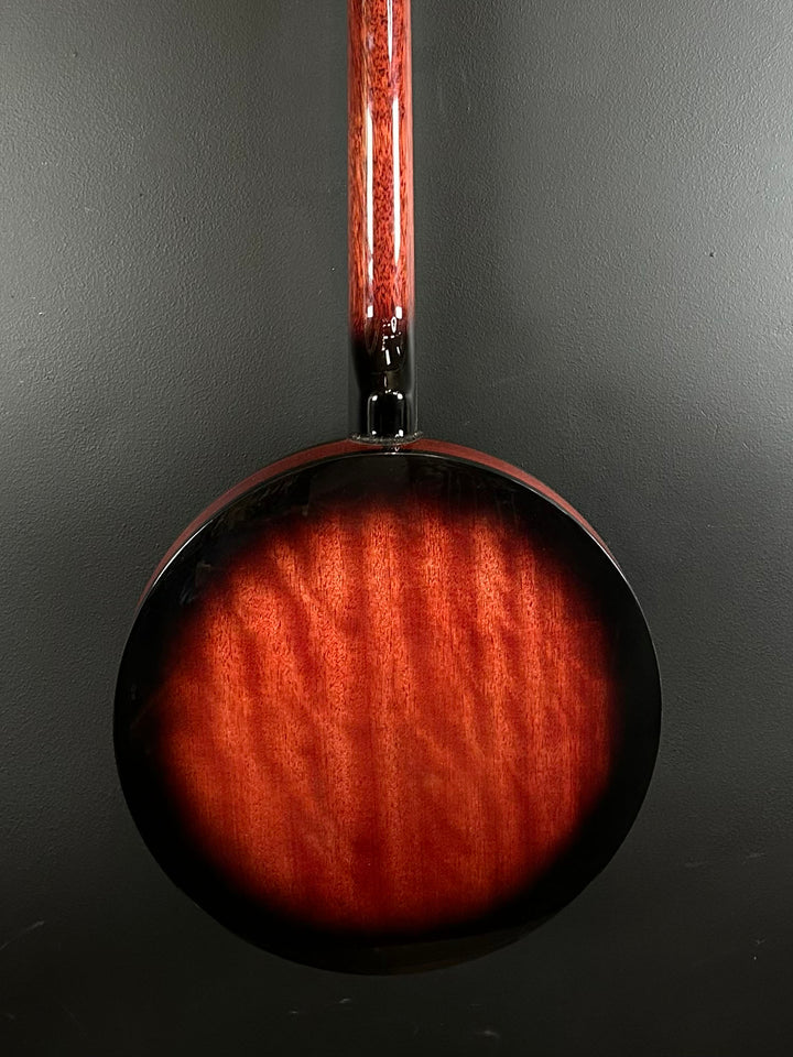 5-String Banjo, Recent