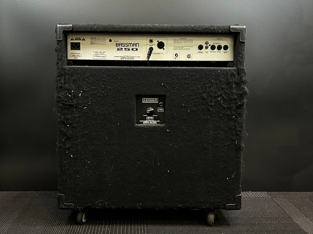 USED Bassman 250 Combo, Recent