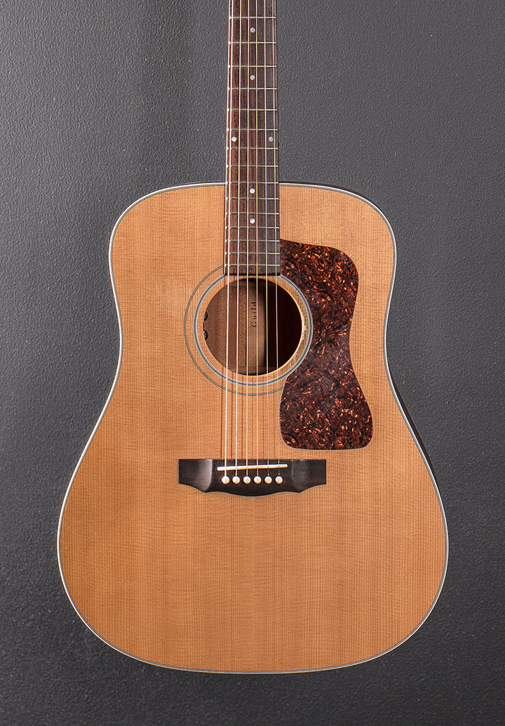 D-40 Standard &