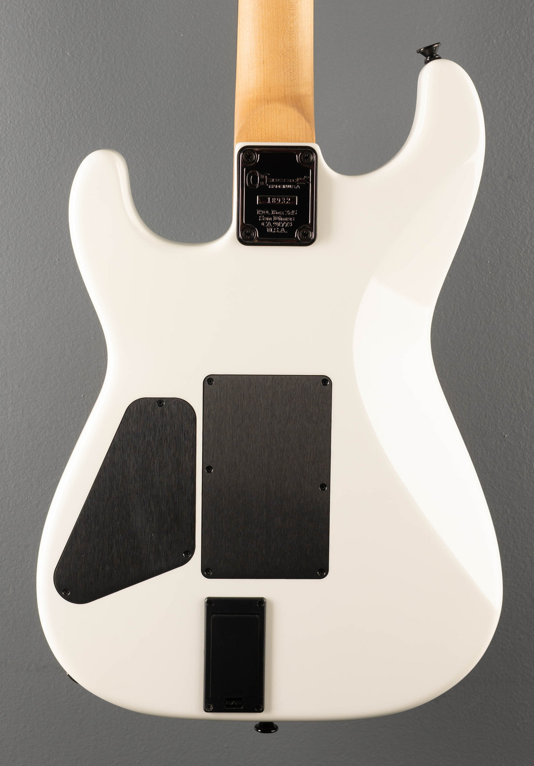 Custom Shop Special Edition San Dimas - VHS Graphic