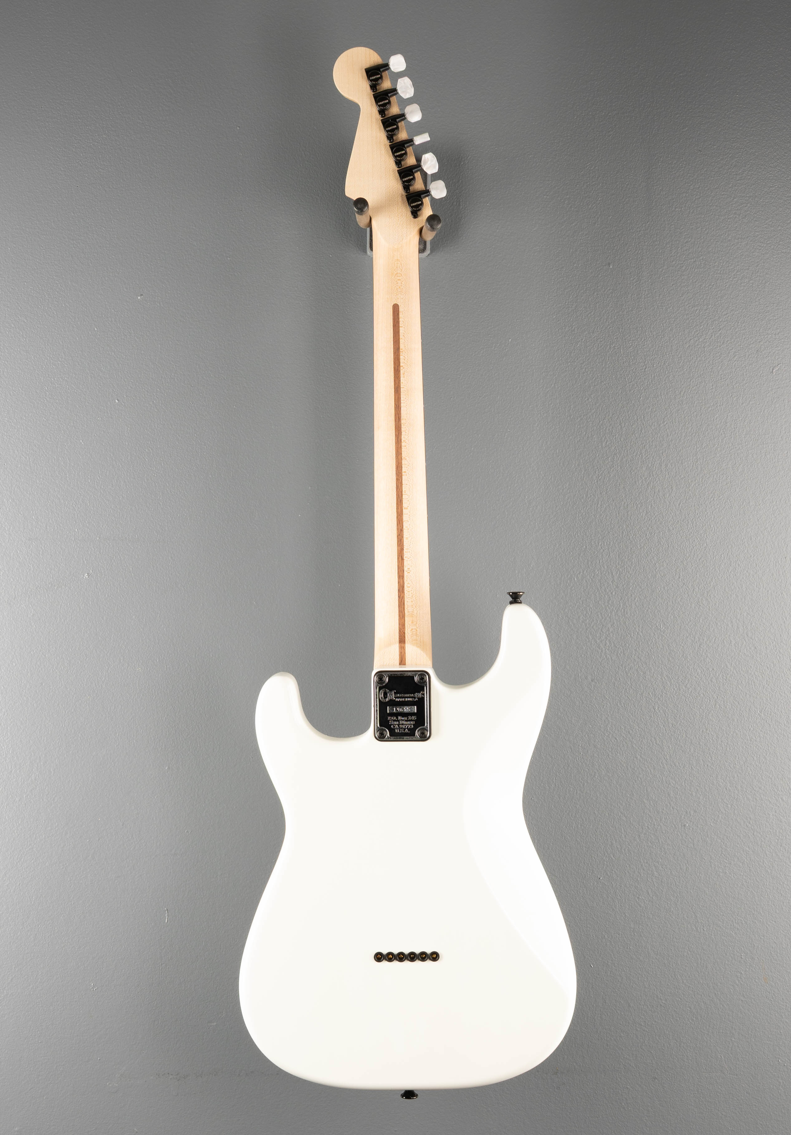 Jake E Lee USA Signature - Pearl White w/ Lavender Hue – Dave's