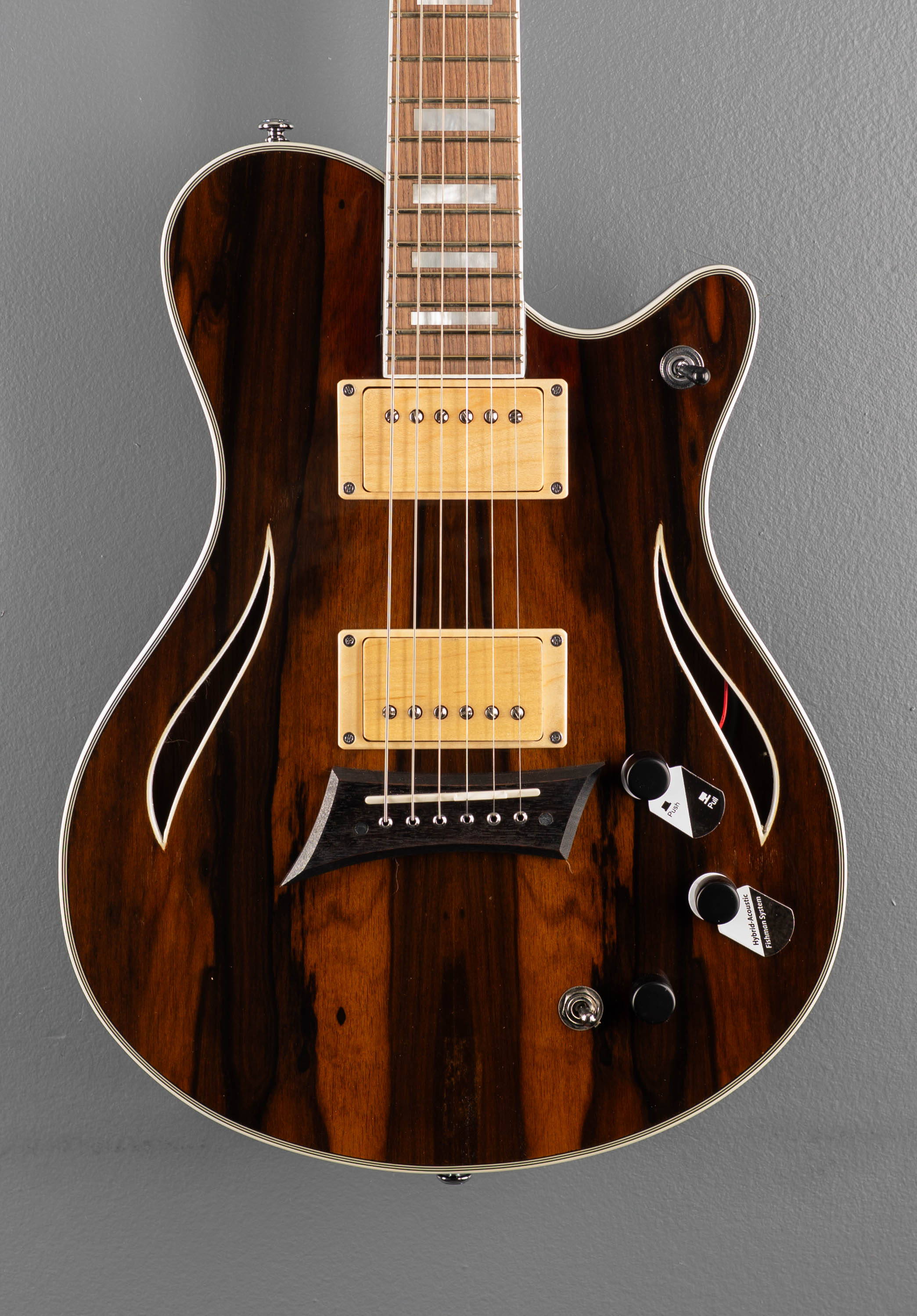 ギター HMPF DoubleRay Hybrid Special - Ziricote – Dave's Guitar Shop
