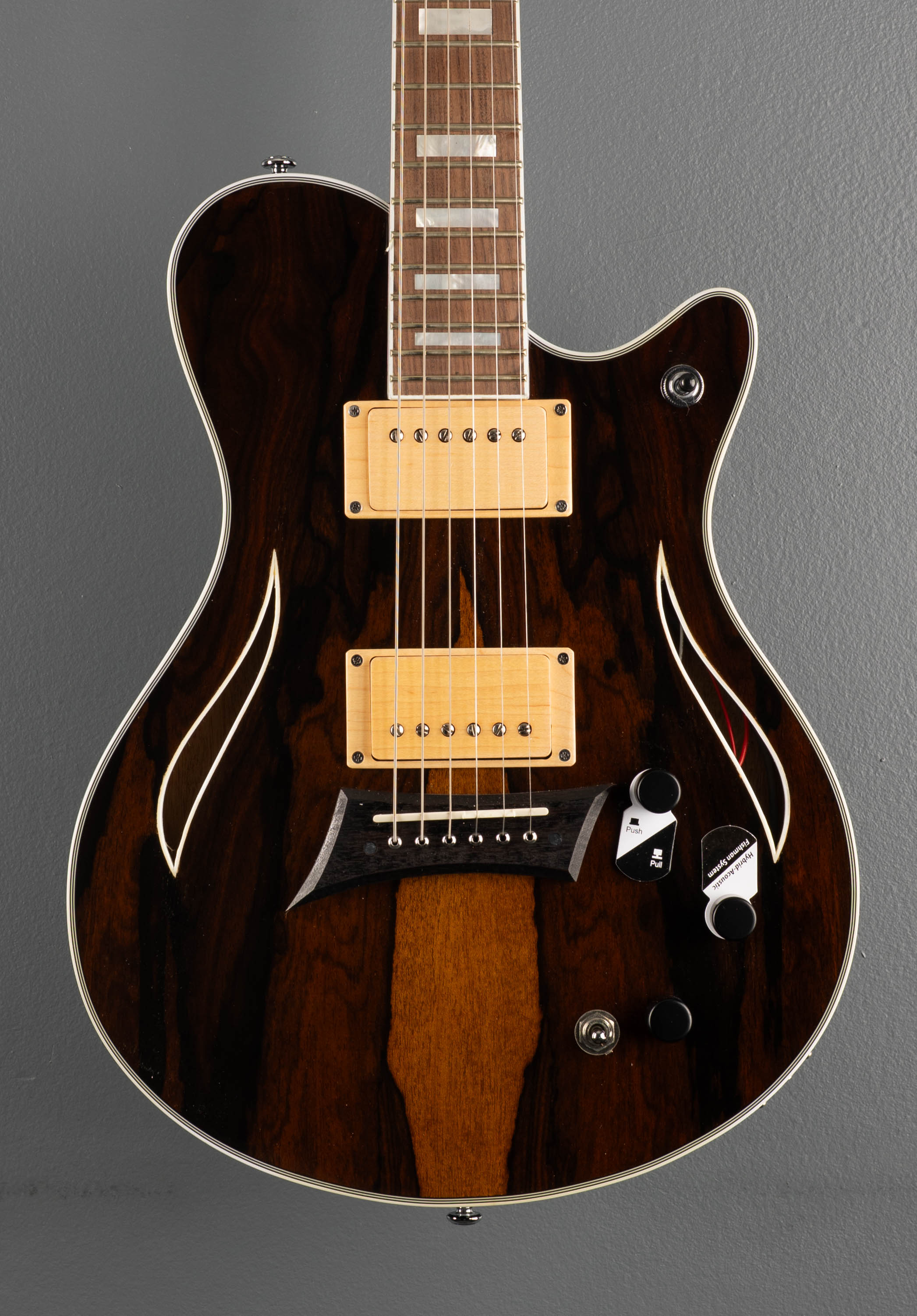 Hybrid Special - Ziricote – Dave's Guitar Shop