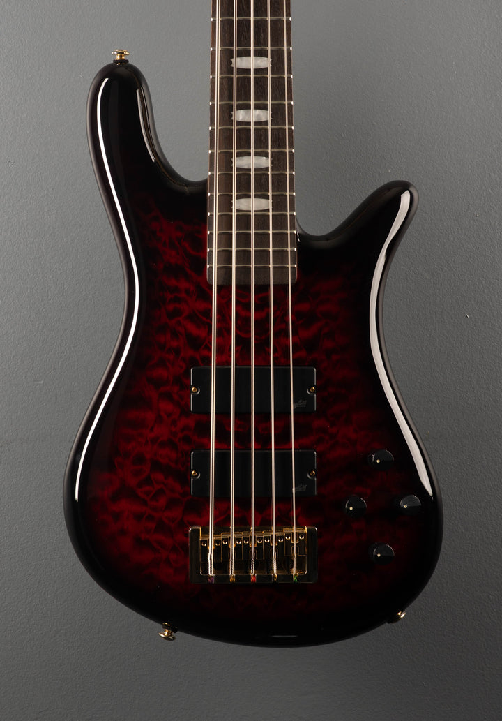 Icon NS-5 Bolt-On - Black Cherry Gloss
