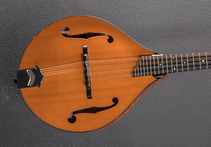 MT2 Mandolin &