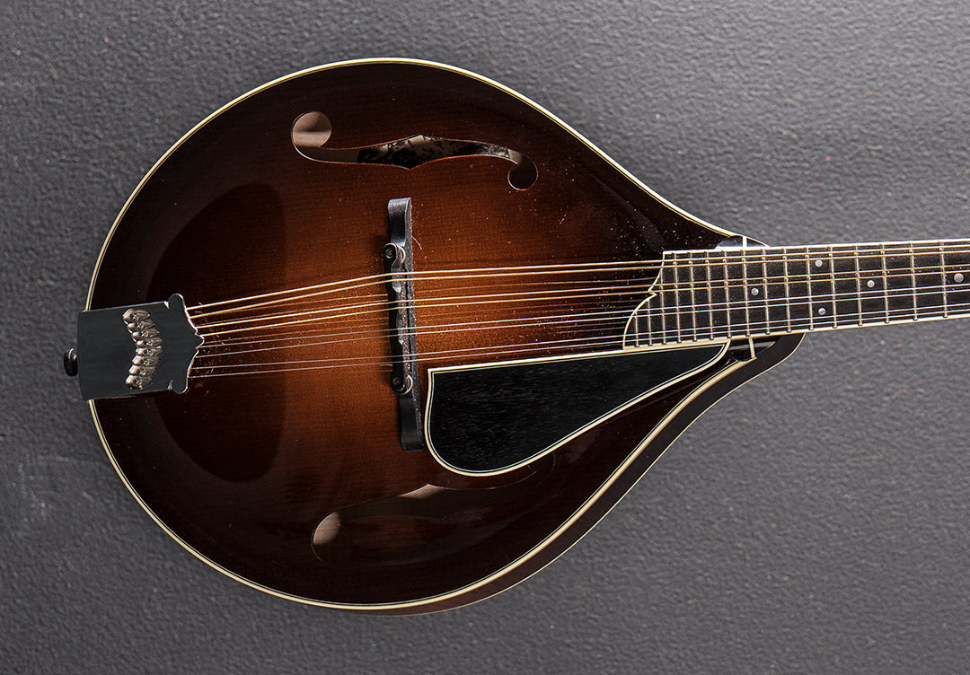 MT2 Mandolin &