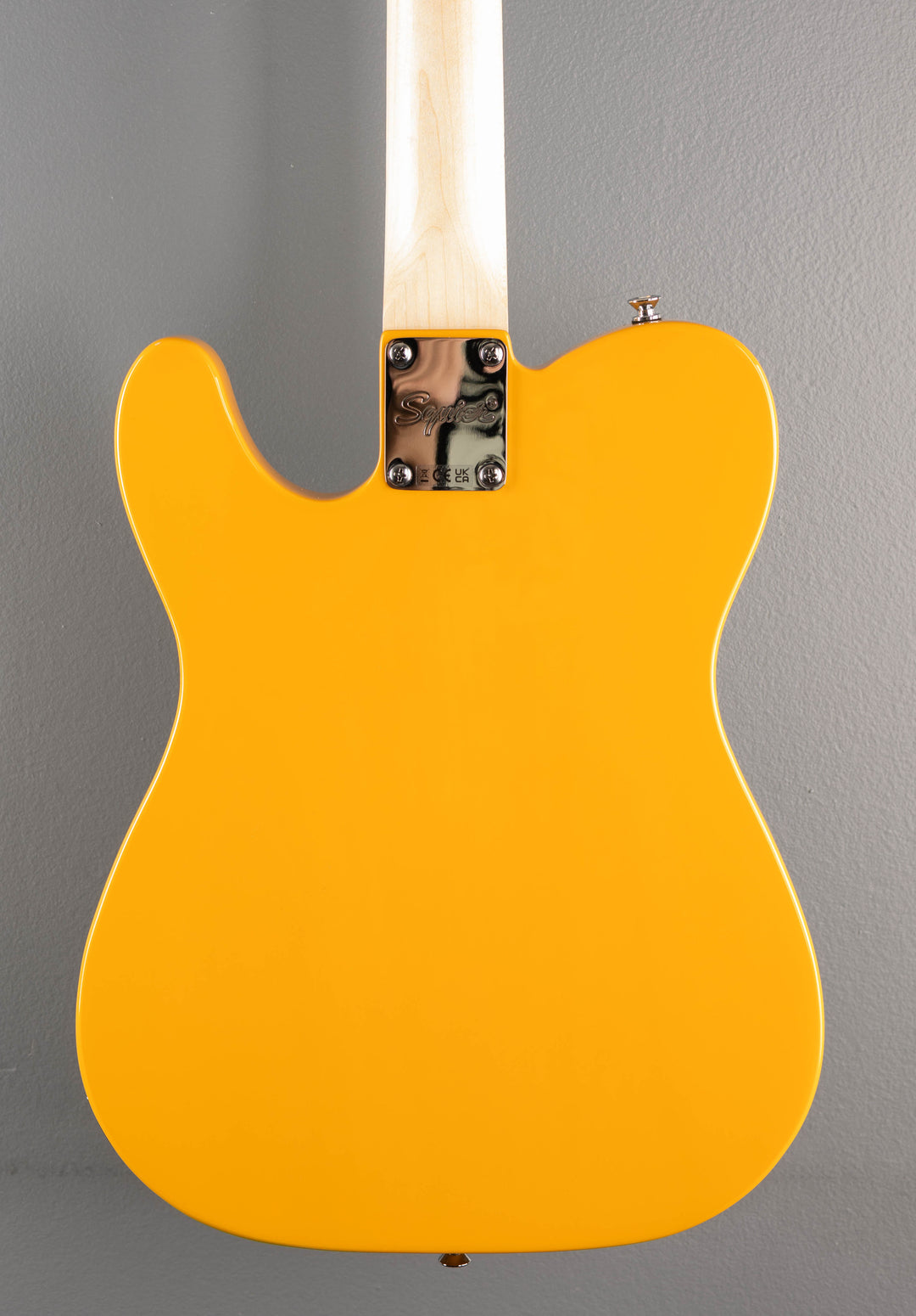 Sonic Telecaster - Butterscotch Blonde w/Maple