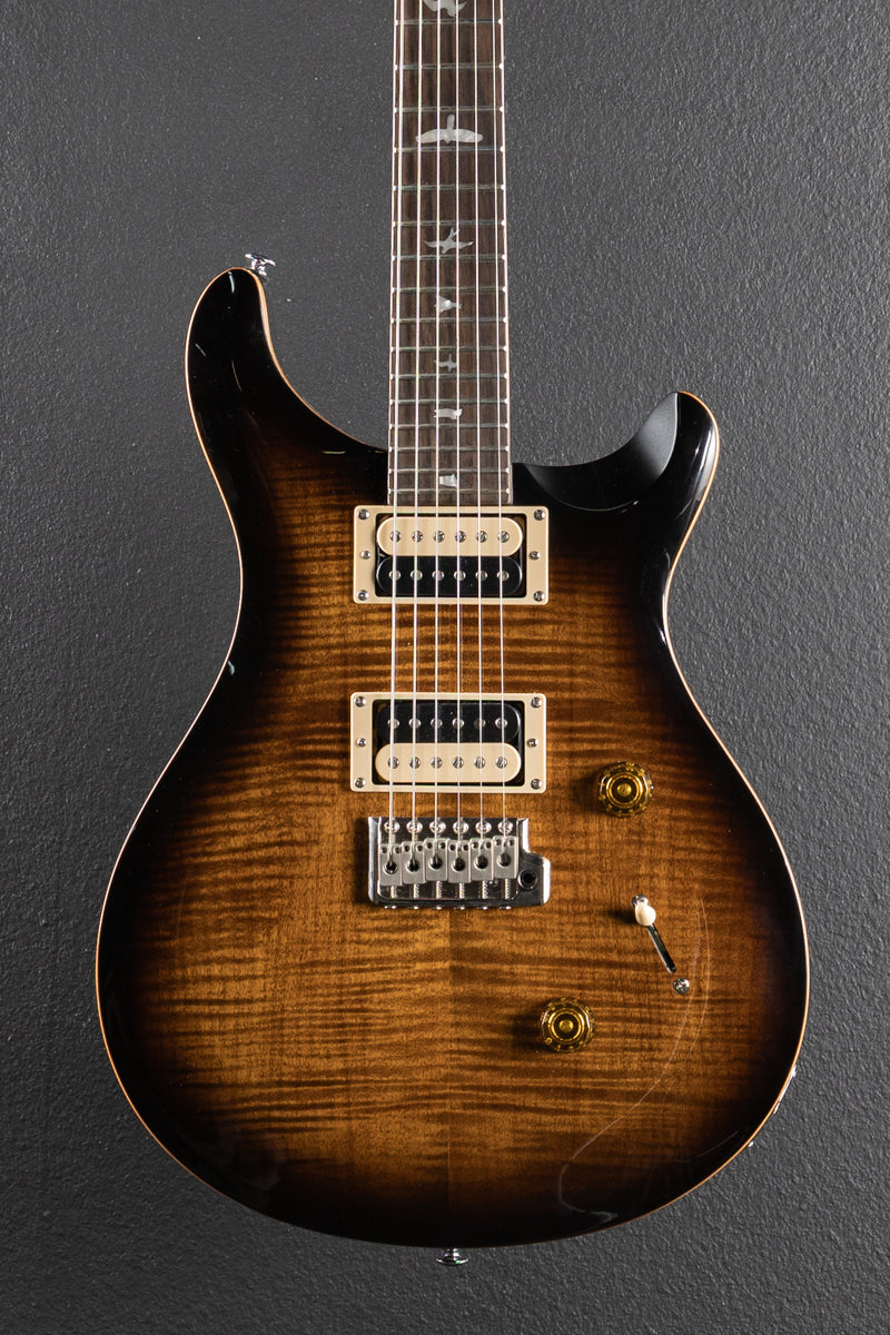 SE Custom 24 &