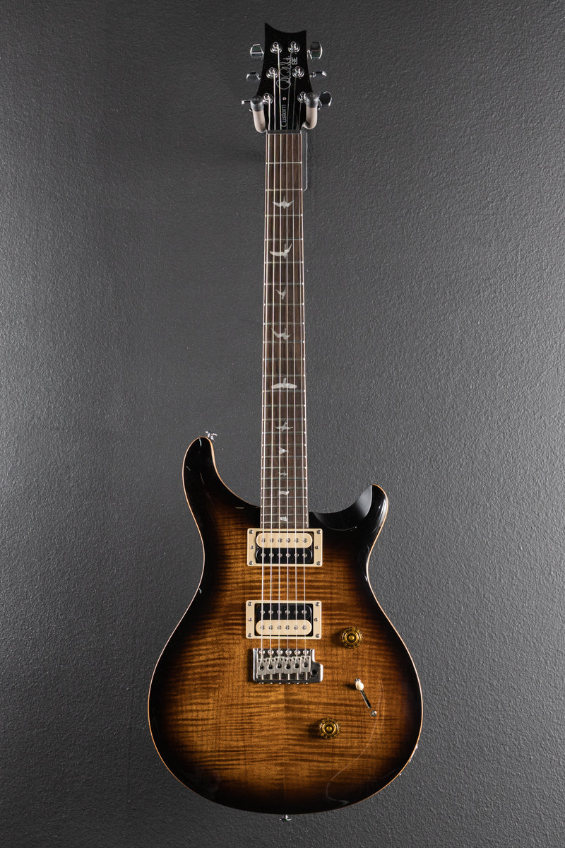 SE Custom 24 &