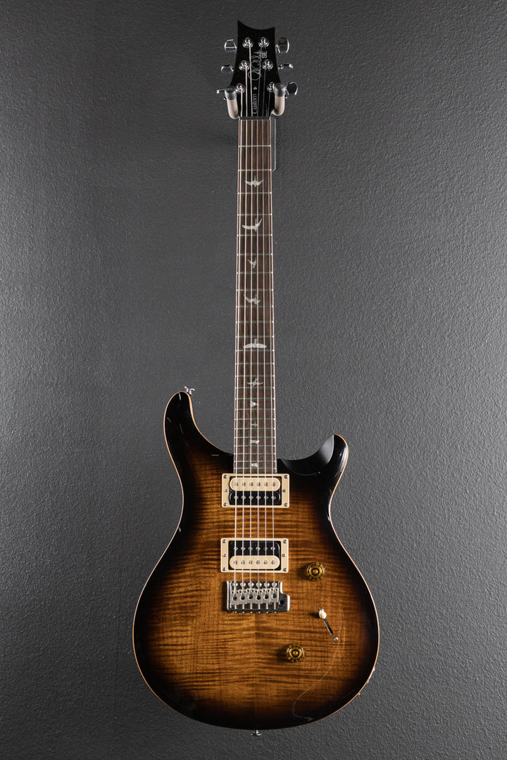 SE Custom 24 &