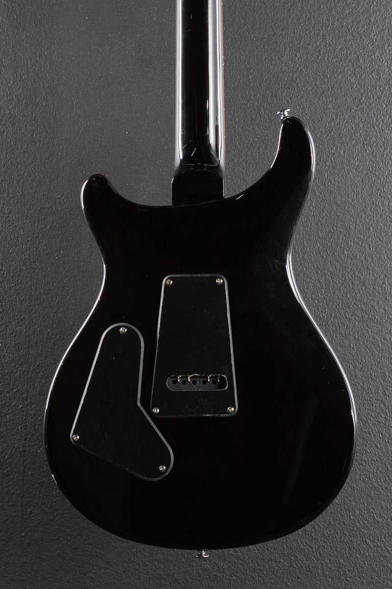 SE Custom 24 &