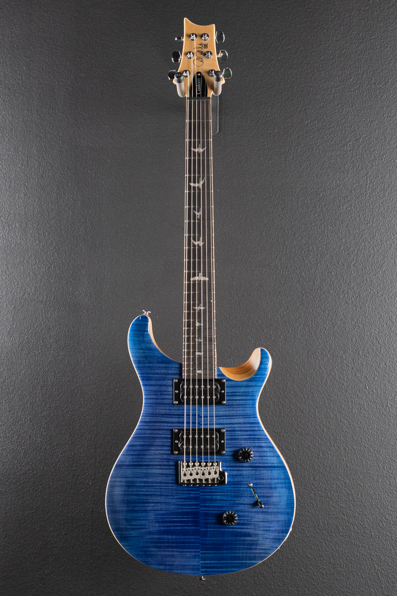 SE Custom 24 &