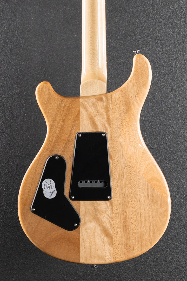 SE Custom 24 &