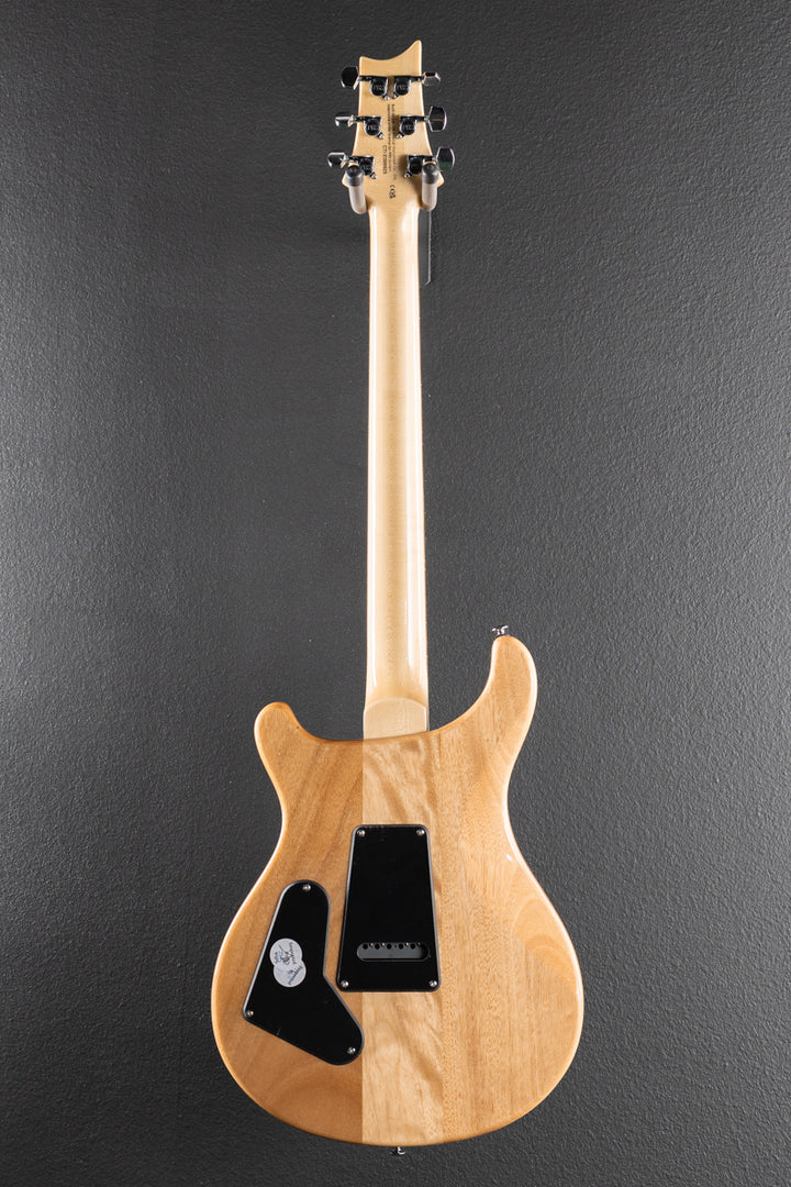 SE Custom 24 &