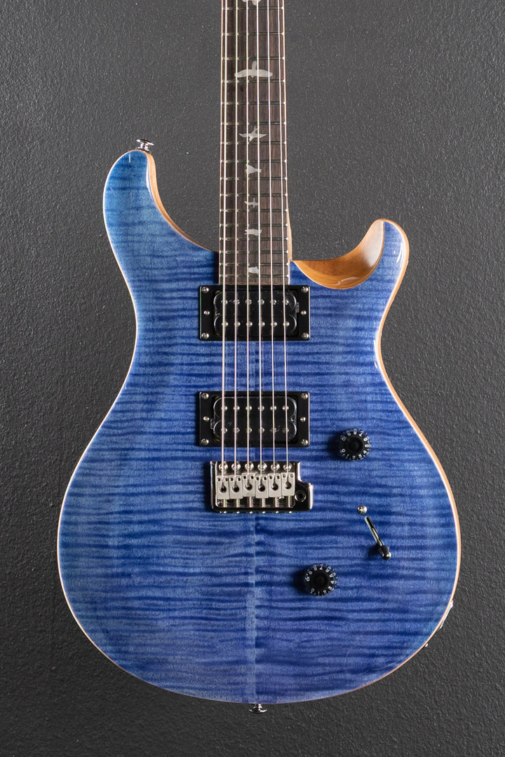 SE Custom 24 &