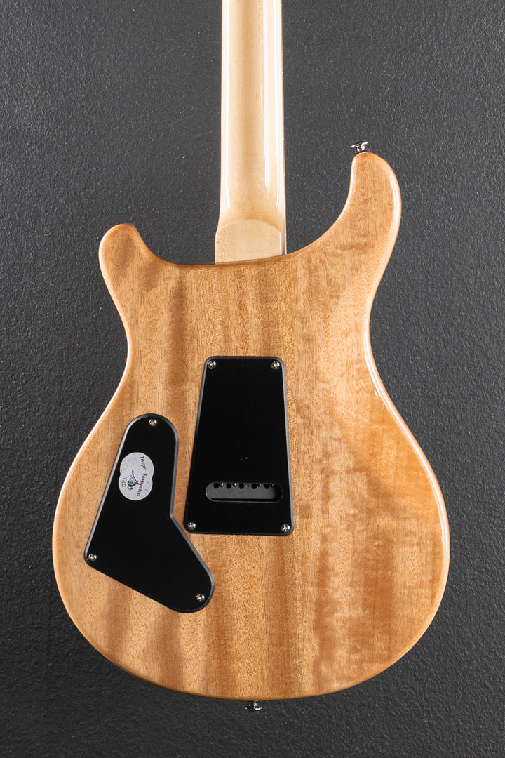 SE Custom 24 &