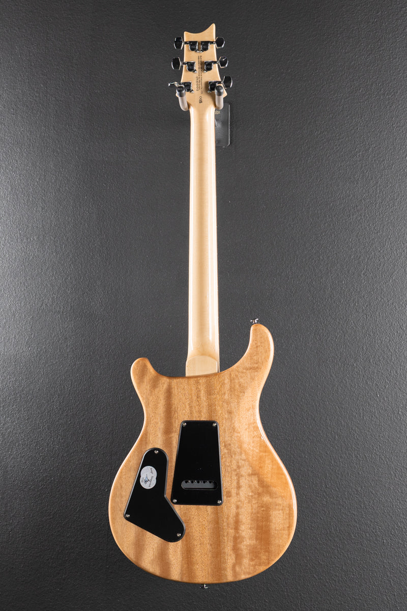 SE Custom 24 &