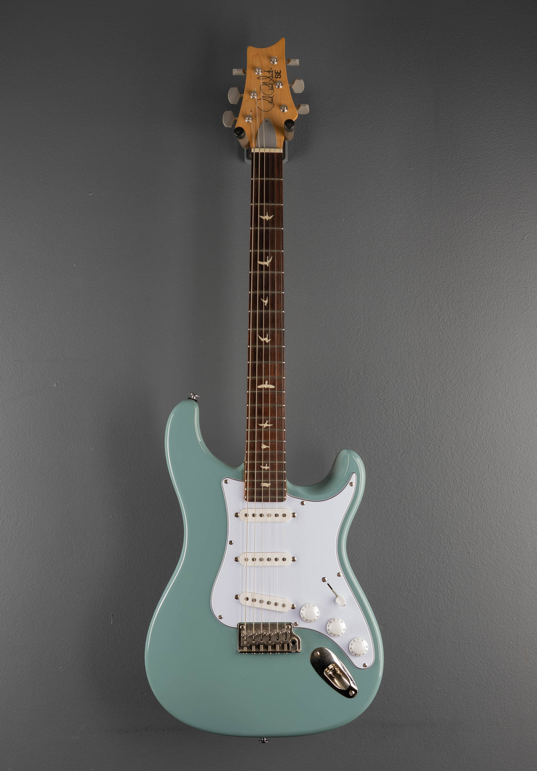 SE Silver Sky w/Rosewood, &