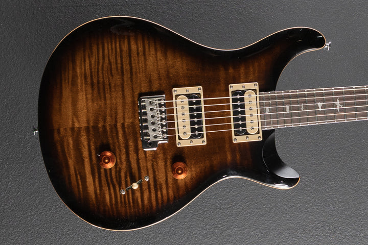 SE Custom 24 &