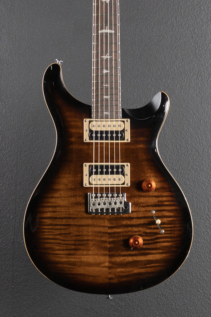 SE Custom 24 &